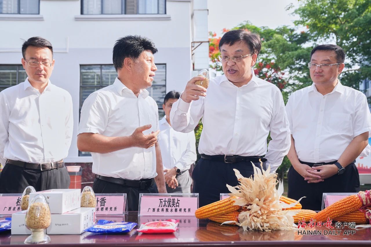 冯飞调研南繁种业高质量发展情况